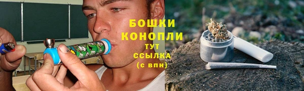 гашик Арсеньев