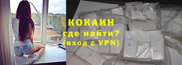 гашик Арсеньев