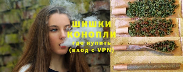гашик Арсеньев