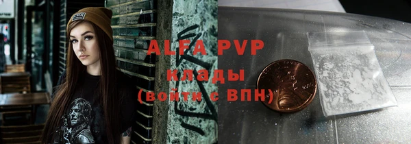 гашик Арсеньев