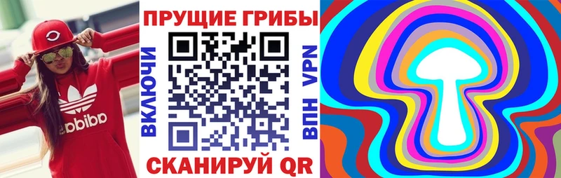 Галлюциногенные грибы Cubensis  Михайловск 